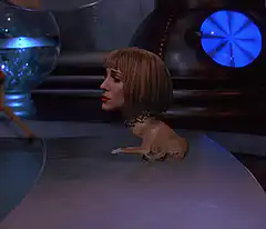 Dog with Sarah Jessica Parker's head