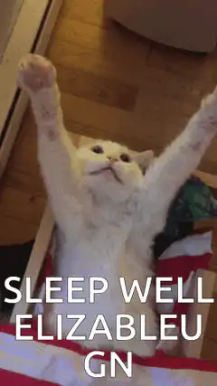 Cat tucked into bed with text