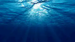 Sunlight rays underwater