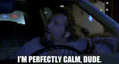 I'm perfectly calm, dude