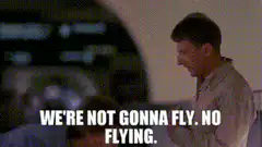We're not gonna fly. No flying.