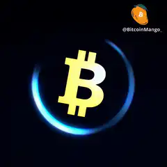 Spinning Bitcoin Logo