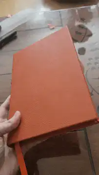 Hand holding an orange book