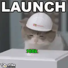 Cat launch 100k hamster bitcoin LFG