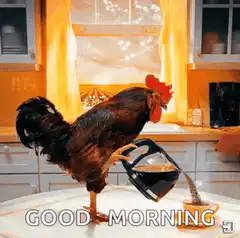 rooster pouring coffee good morning