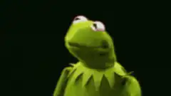 Kermit the Frog looking smug