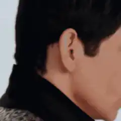 Ben Stiller turns around and says them