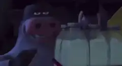 Cow drinking milk from bottles
