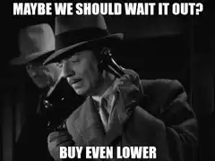 Maybe We Should Wait It Out Buy Even Lower