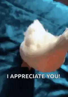 Duck saying I appreciate you