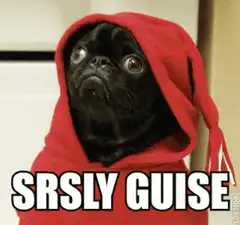 Srsly Guise Pug