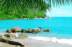 Tropical beach with turquoise water and palm leaves