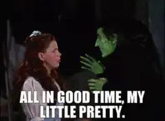 Wicked Witch All In Good Time My Little Pretty