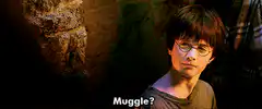 Harry Potter asks about Muggles