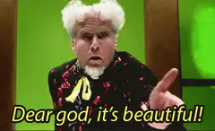 Dear god, it's beautiful!