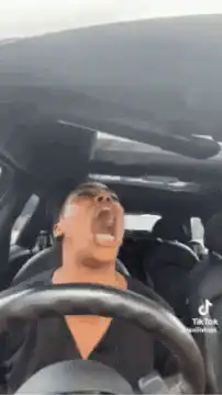 Man screaming in car