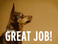 Dog gives high five great job