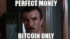 Perfect Money Bitcoin Only