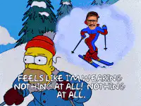 Homer thinks Ned is naked skiing