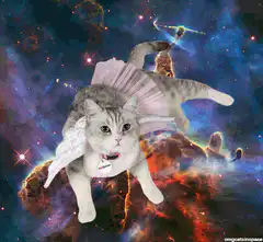 Angel cat in space