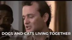Bill Murray Dogs and Cats Living Together