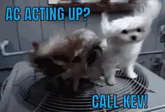 AC Acting Up Call Kev