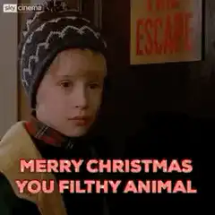 Merry Christmas You Filthy Animal