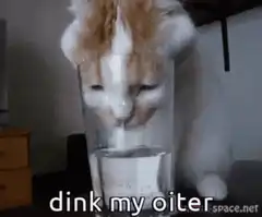 cat head in glass dink my oiter