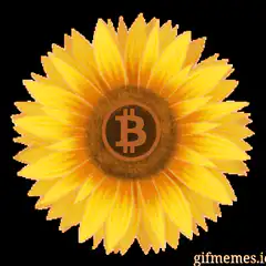 Bitcoin Sunflower
