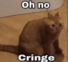 Oh no cringe cat