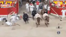 Bulls charging through runners in a street