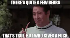 There's Quite A Few Bears That's True But Who Gives A Fuck