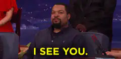 Ice Cube I See You