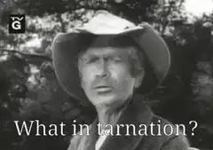 What in tarnation?
