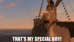 Donkey That's My Special Boy