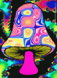 psychedelic mushroom animation
