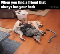 Child hugging dog on floor