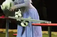 Woman in blue dress with cats on a table