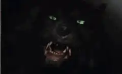 werewolf snarls at girl