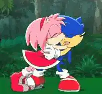 Amy Rose hugging Sonic