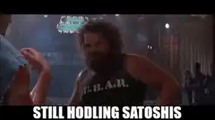 Still Hodling Satoshis