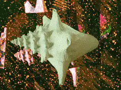 3D seashell in space