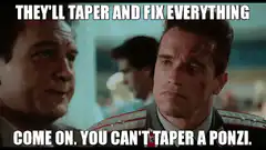 Come On You Can't Taper a Ponzi