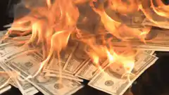 US dollar bills burning in flames
