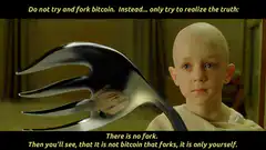There is no fork bitcoin meme