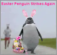 Easter Penguin Strikes Again