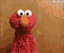 Elmo shrugging