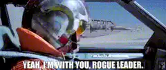 Rogue Leader I'm with you