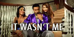 It Wasn't Me meme