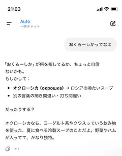 Auto temporary chat explaining okroshka
